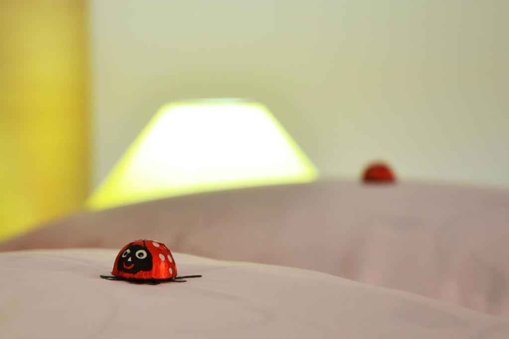 Aparthotel Zorilor Kaloşvar Oda fotoğraf